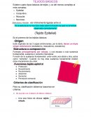 Resumen tejido epitelial