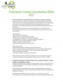 Postulación Fondos Concursables RREE 2017