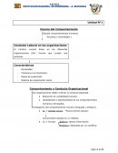 Conducta Laboral en las organizaciones