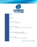 Diseño y manipulación de bases de datos