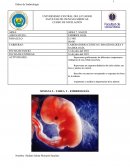 LABORATORIO CLÍNICO E IMAGENOLOGÍA Y RADIOLOGÍA