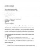 Informe Delitos Informaticos