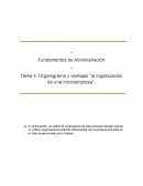 Organigrama y ventajas “la organización de una microempresa”