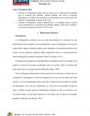 Hidrogramas Sinteticos