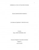 Habilidades de un líder en la Fuerza Aérea Colombiana