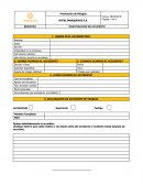 Formato investigación de accidentes HOTEL MANQUEHUE S.A.