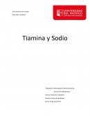 Nutrición y dietética Tiamina y Sodio