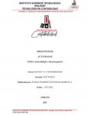 GENERALIDADES DE PRESUPUESTO