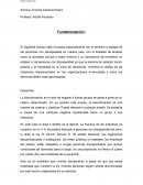 Los derechos del trabajo en discapacidad