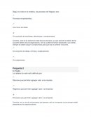 Pauta de evaluacion Procesos empresariales