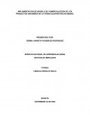 IMPLEMENTACION DE MODELO DE COMERCIALIZCION DE LOS PRODUCTOS NAVIDEÑOS DE LA TIENDA DIJAFIRO HECHO AMANO