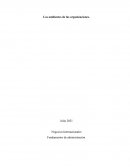 Los ambientes de las organizaciones
