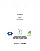 ENSAYO DE SEGMENTACION DE MERCADO