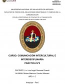PRÁCTICA N° 8 GENERALIDADES DE COMUNICACIÓN INTERCULTURAL