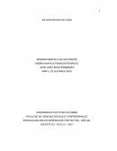 TALLER ESTUDIO DE CASO ICS, Inc