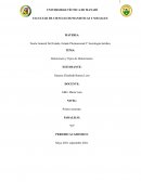 Democracia y tipos de democracia