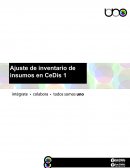 Ajuste de inventario de insumos en CeDis
