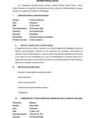 INFORME PERICIAL SOCIAL