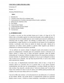 Columna corta piso blando