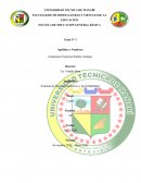 Sistemas de funciones numéricos y de probabilidad