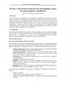 Practico microbiologia1 recorrido por laboratorio