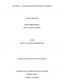 Actividad Análisis organizacional de una empresa