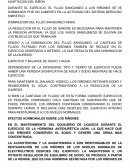 Adaptacion del riñon