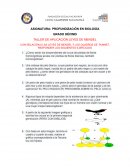 TALLER DE APLICACIÓN LEYES DE MENDEL