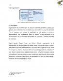 Esquema general de la organización con sus elementos