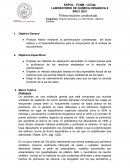 Polimerización de Nylon