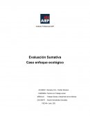 Caso con enfoque ecológico