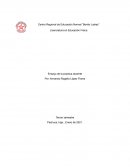 Ensayo de la practica docente