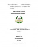QUIMICA ORGANICA AGRICOLA. PRODUCCION DE ABONO FOLIAR BIOL