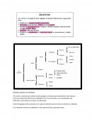 NOCION JURIDICA DE PERSONA