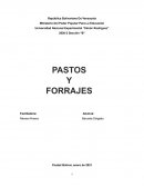 Pastos y forrajes