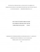 El plan de negocios. Éxito empresarial