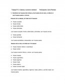 Trabajo N° 2: Cabeza y columna vertebral