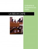 Fundamentos de Mercadotecnia Caso Práctico “La Selva Café”