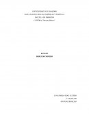 Derecho Minero Venezolano