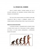 El origen del Hombre