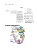 GUIA DE BIOLIOGIA ¿Cómo se originó la vida?