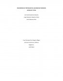 MECANISMOS DE PROTECCION DE LOS DERECHOS HUMANOS