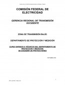 CURSO LOCAL DE PROTECCIONES APLICADO AL PERSONAL TÉCNICO
