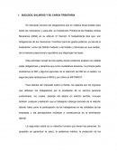 SUELDOS, SALARIOS Y SU CARGA TRIBUTARIA