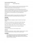 Proyecto conociendo a Kandinsky y su obra