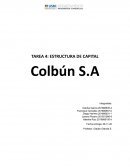 ESTRUCTURA DE CAPITAL Colbún S.A