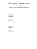 Diagnostico Exergetico de un motor a Diésel