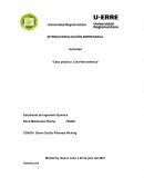 Actividad “Caso práctico: Cisa-Vencerámica”