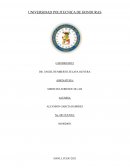 ENSAYO CRIMINOLOGIA CONCEPTOS Y CLASES