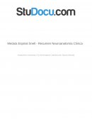 Resumen medula espinal snell